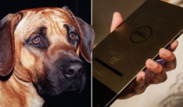 女人与狗性交视频